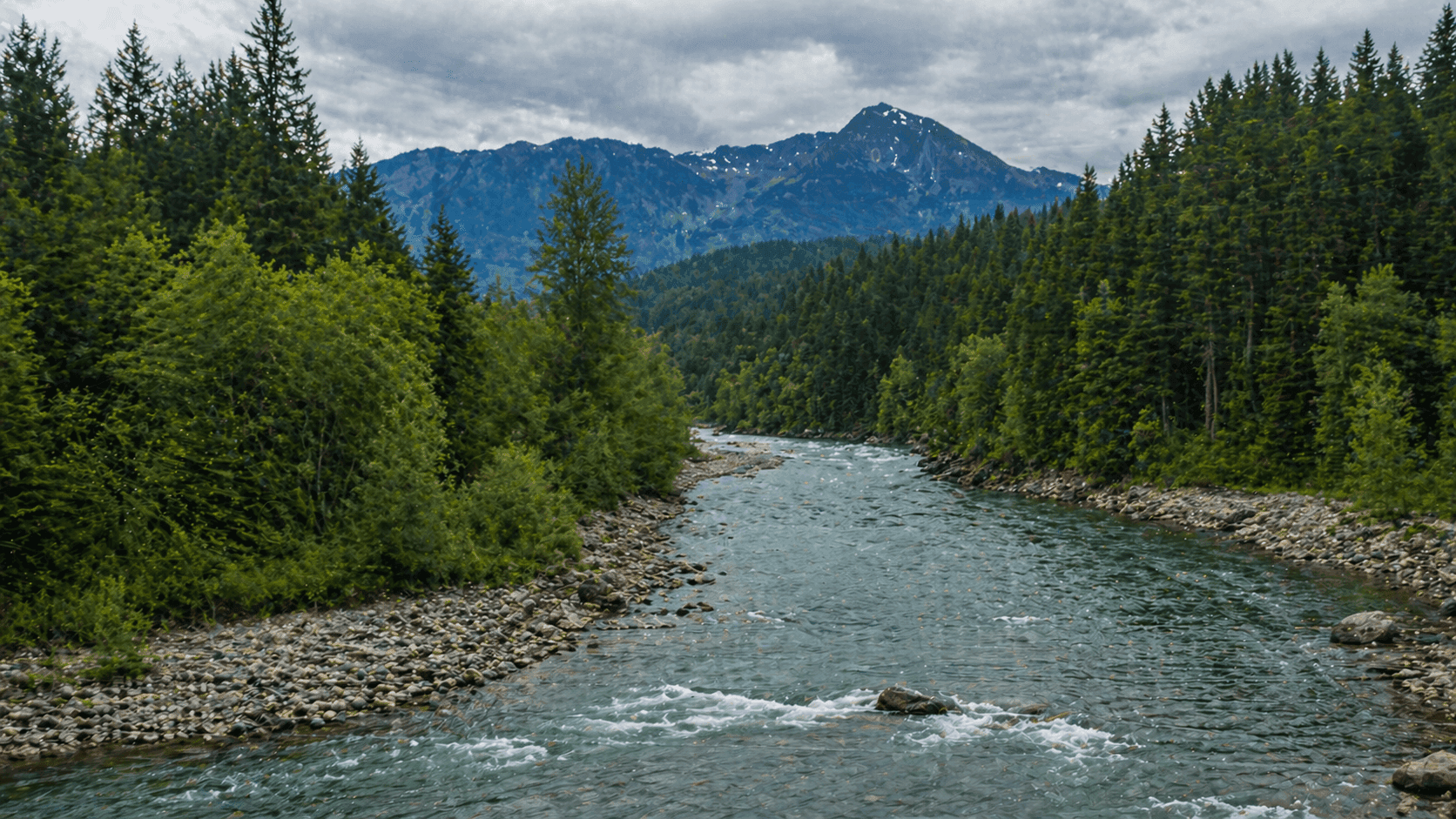 The Skykomish River winding through the forested foothills of the Cascade Mountains near Gold Bar, Washington, with dense evergreen forest along the banks.
