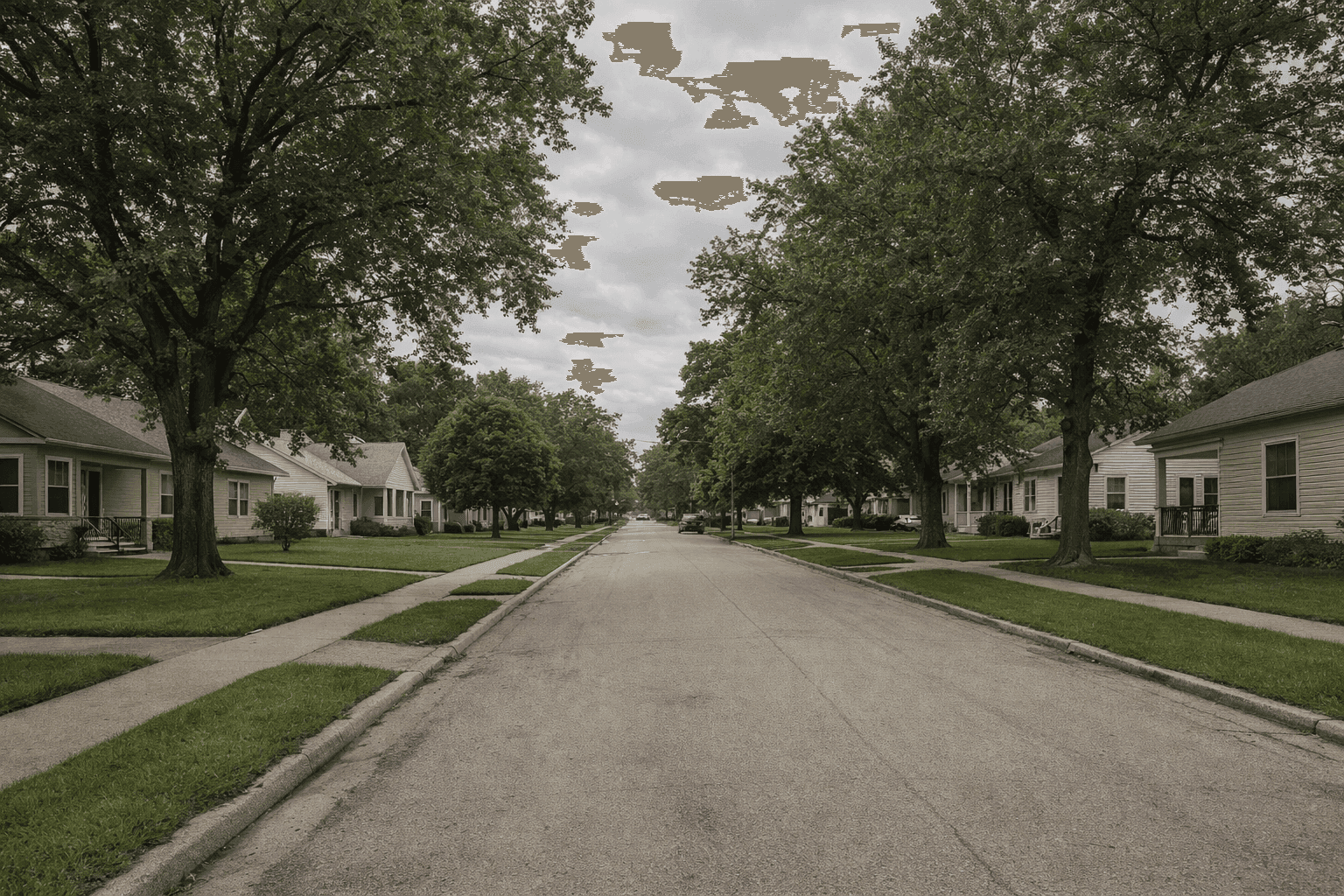 A quiet tree-lined residential street in Morrison, Illinois, a small town in Whiteside County.