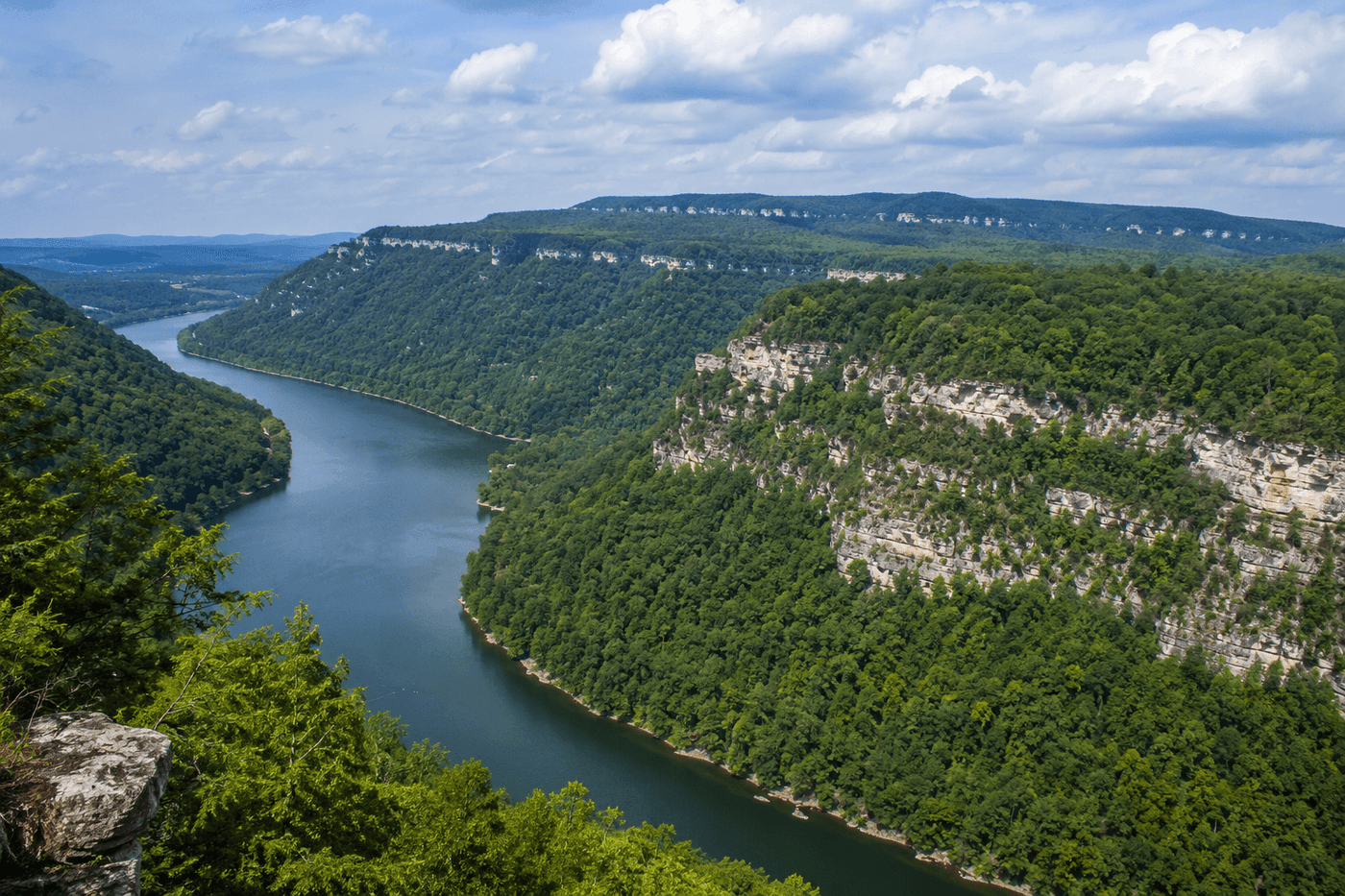 The Tennessee River Gorge near Chattanooga, with the Cumberland Plateau visible above the forested canyon walls and the river winding below.