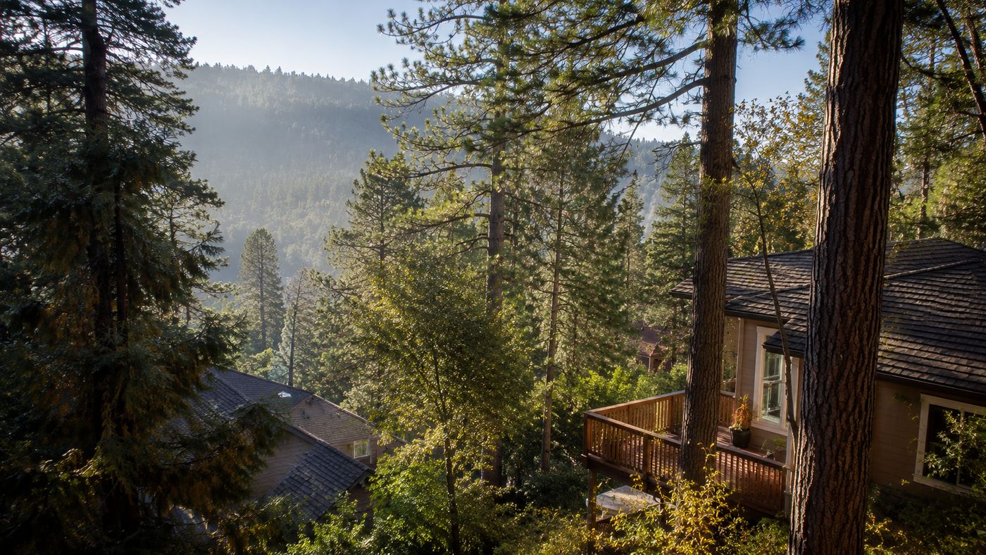 A forested mountain hillside in Crestline, California in the San Bernardino Mountains