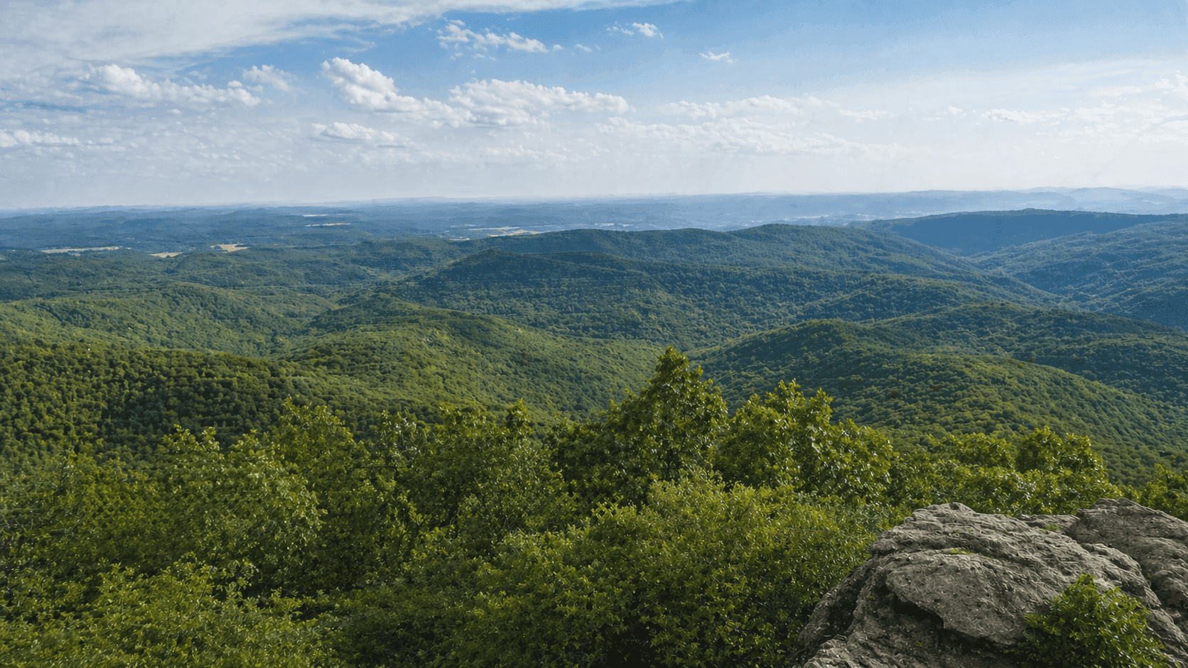 The forested hills of the Arkansas Ozarks near Fayetteville, with hardwood ridgelines and wide open views typical of Northwest Arkansas.