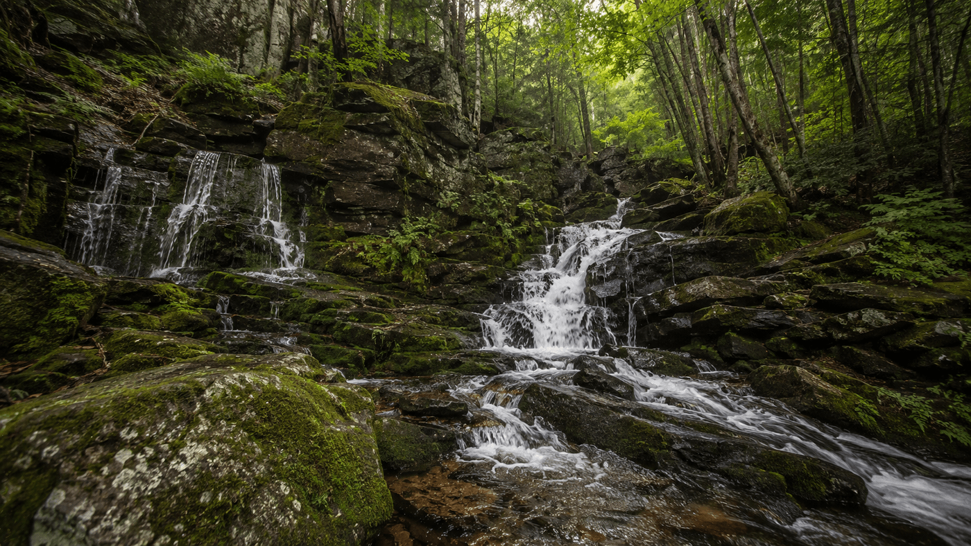 A moss-covered waterfall cascading through a forested ravine in the Catskills near Woodstock, New York
